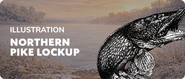 Northern Pike Lockup